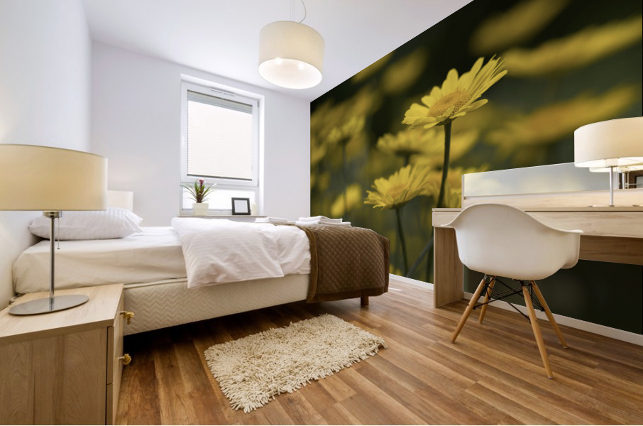 Field of Daisies Mural print