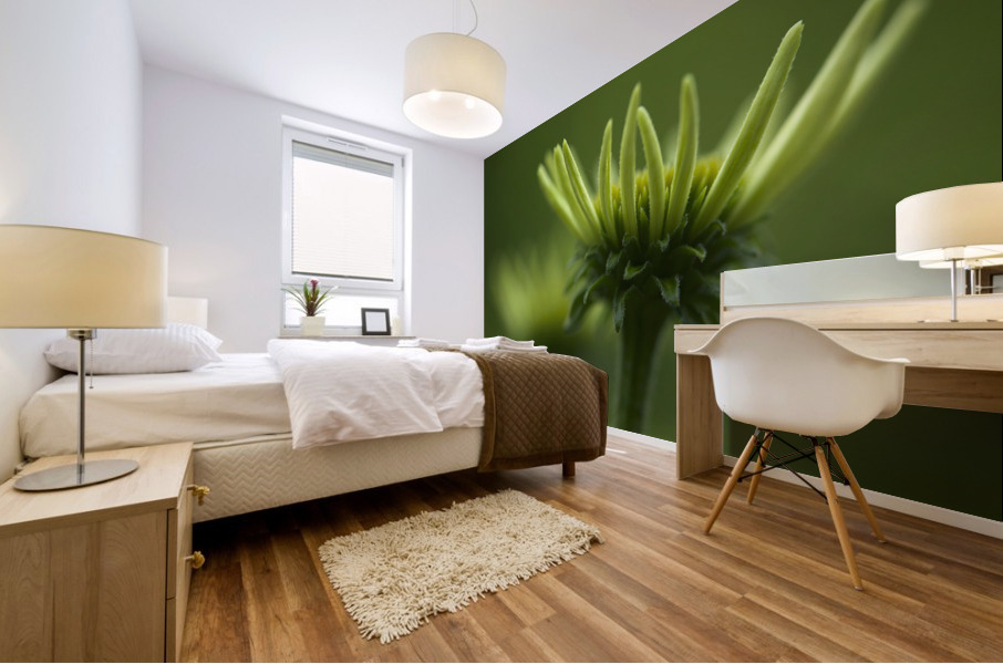 Blooming Coneflower Mural print