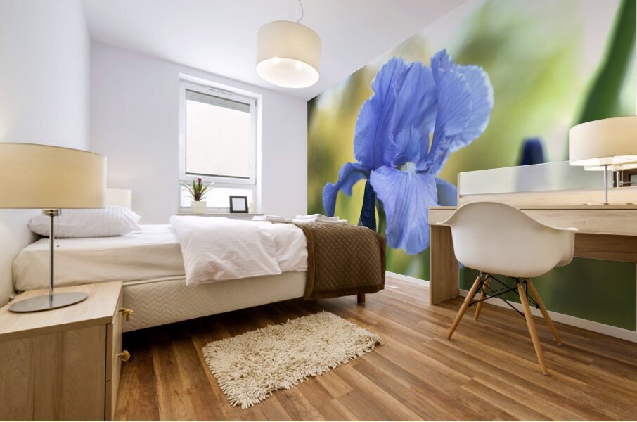 Lucky Devil Mural print