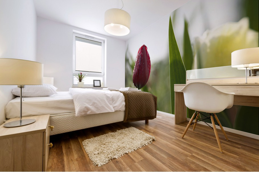 Red Beauty Mural print