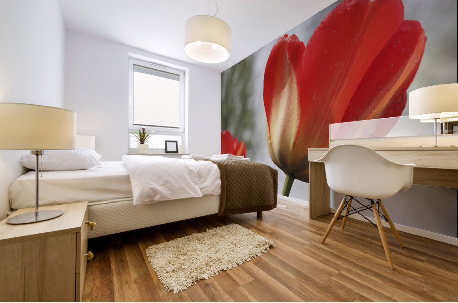 Leaning Tulip Mural print