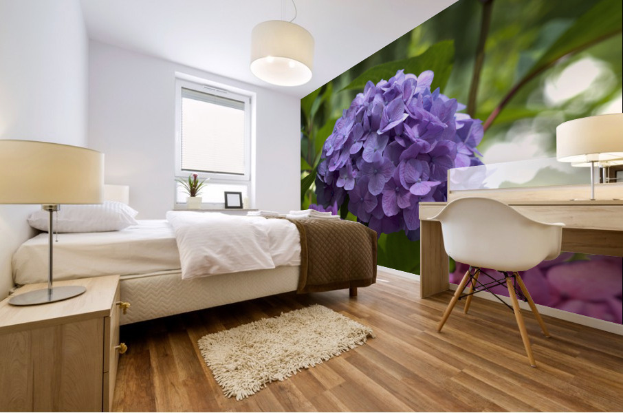 Purple Hydrangea Mural print