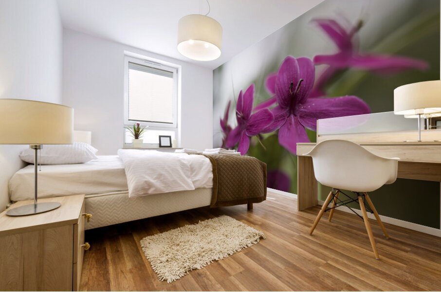 Shooting Star Mural print