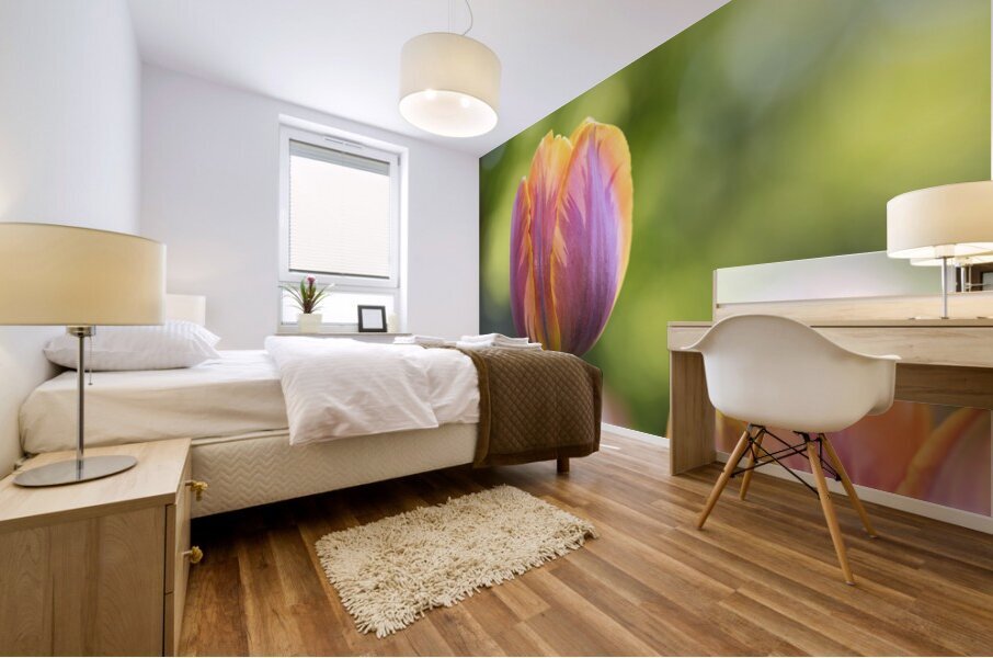 Pastel Garden Tulip Mural print