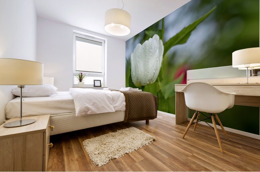 The Plumpy One Impression murale