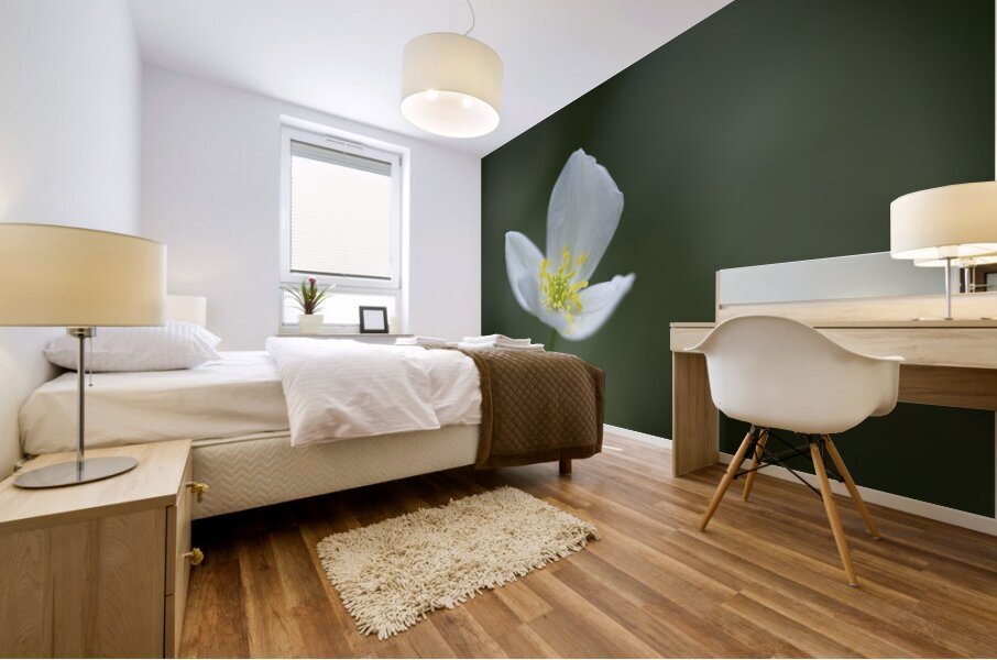 Lady in White Mural print