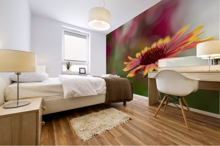 Blanket Flower Mural print