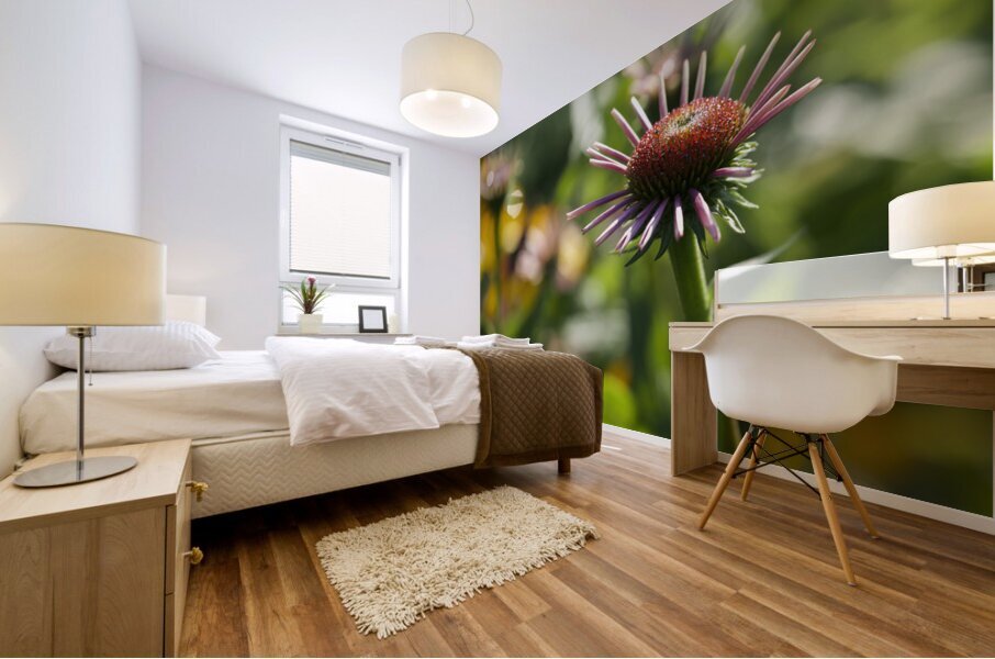 Early Morning Beauty Mural print