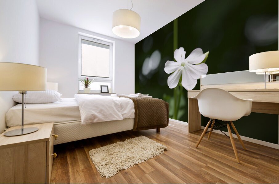 Catchfly Impression murale