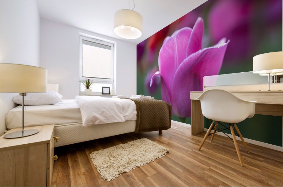 Pretty as a Tulip Mural print