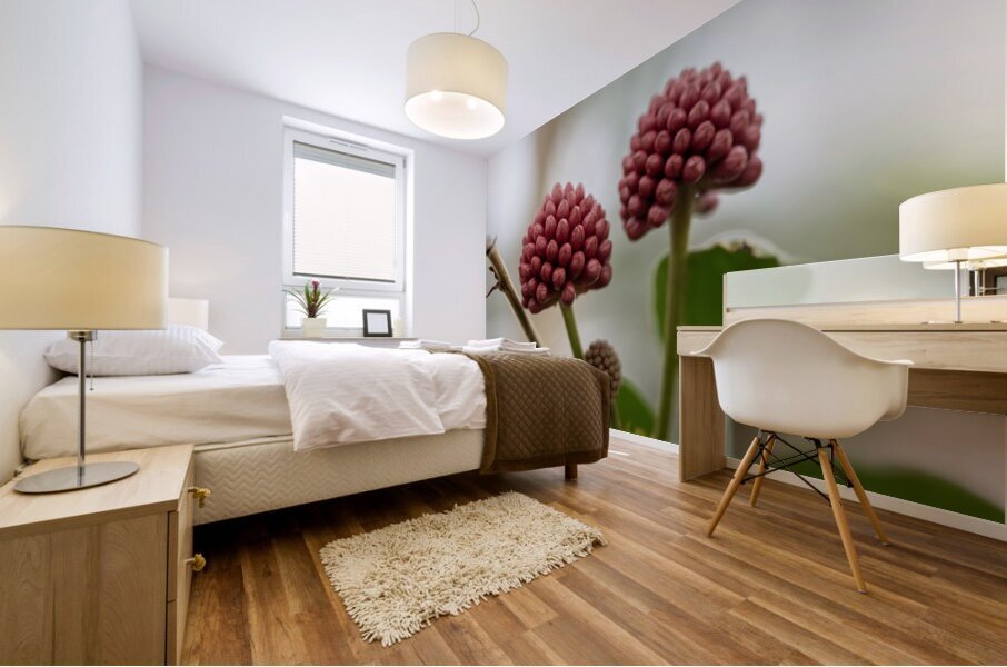 Powder Puff Buds Impression murale