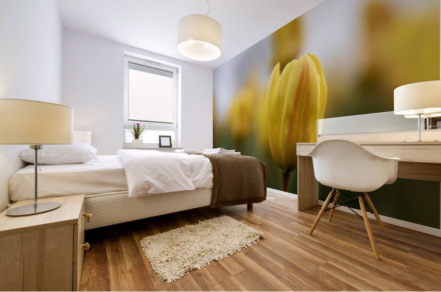 Yellow Radiance Impression murale