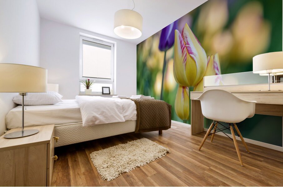 Sunlit Serendipity Mural print