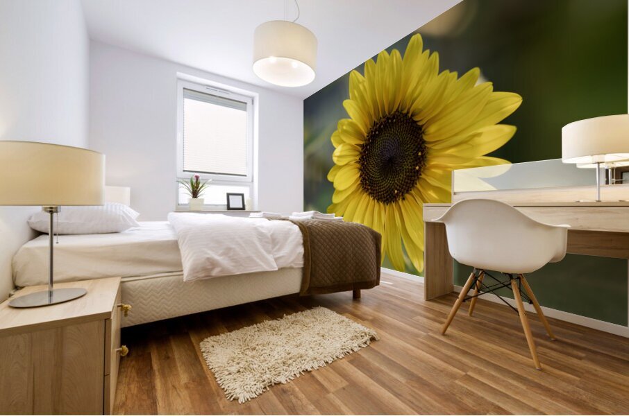 Common Sunflower Mural print