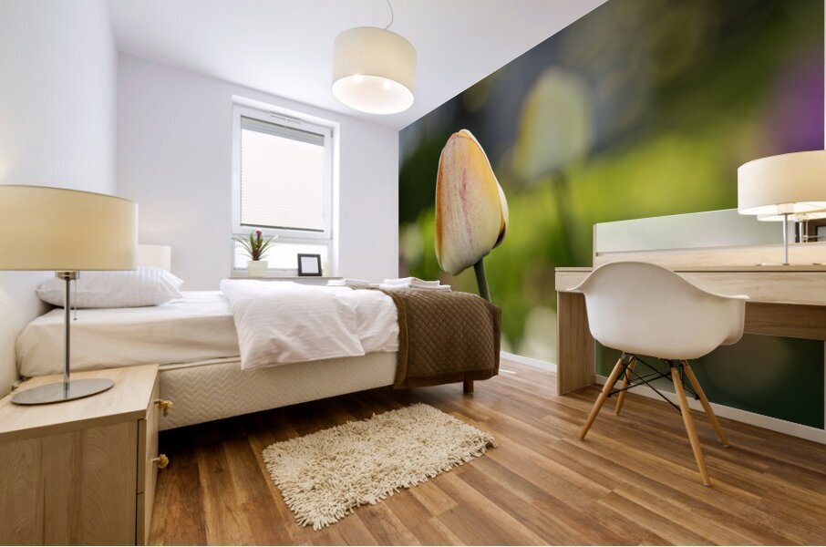 Yellow Tulip in the Field Mural print