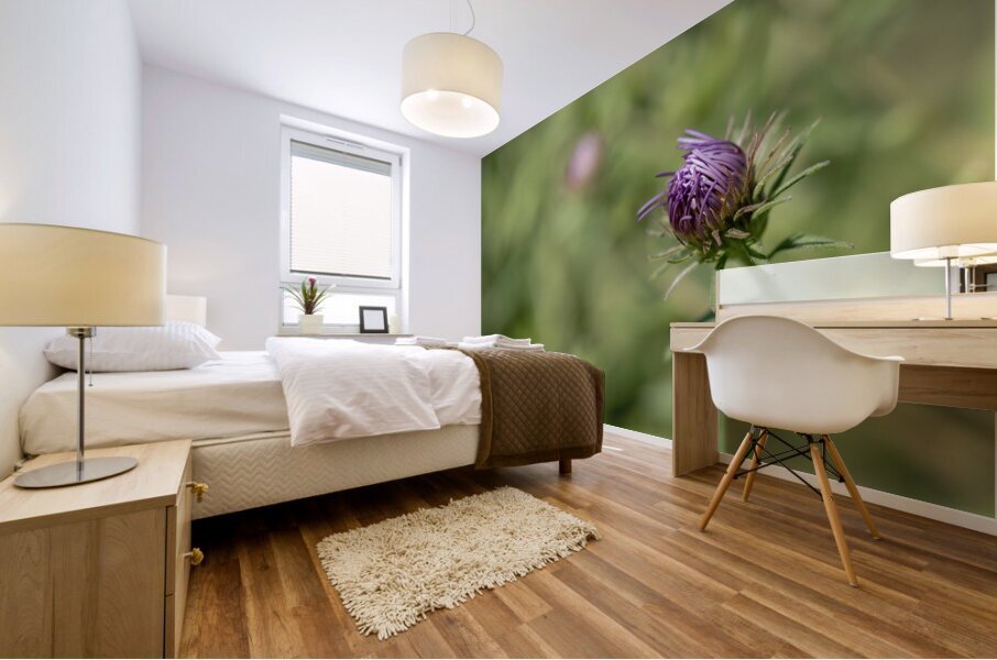 Aster Bud Mural print