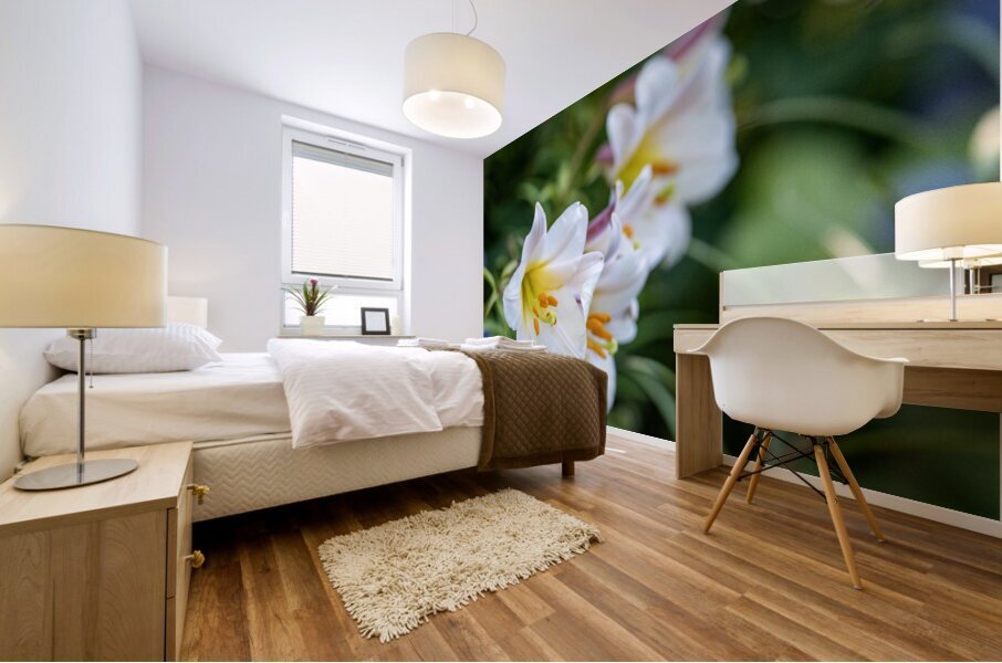 Easter Lily Impression murale