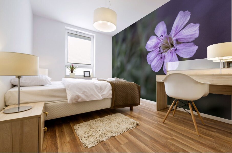 Mauve Melody Mural print