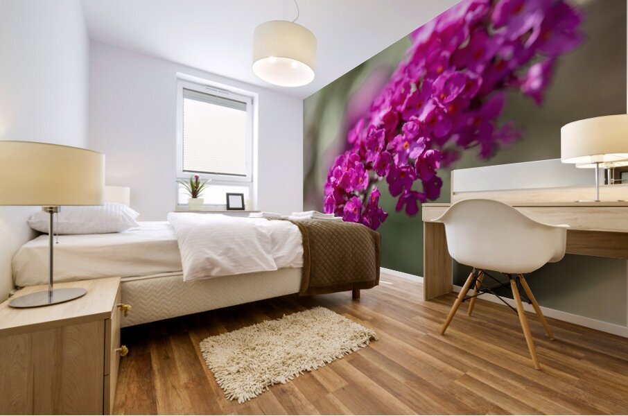 Orange Eye Impression murale