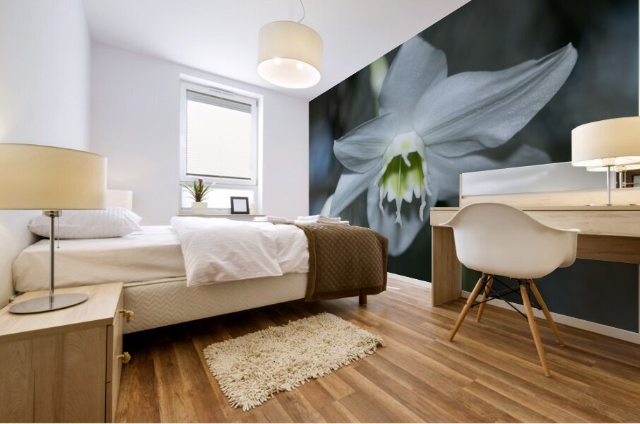 Pearly Radiance Mural print