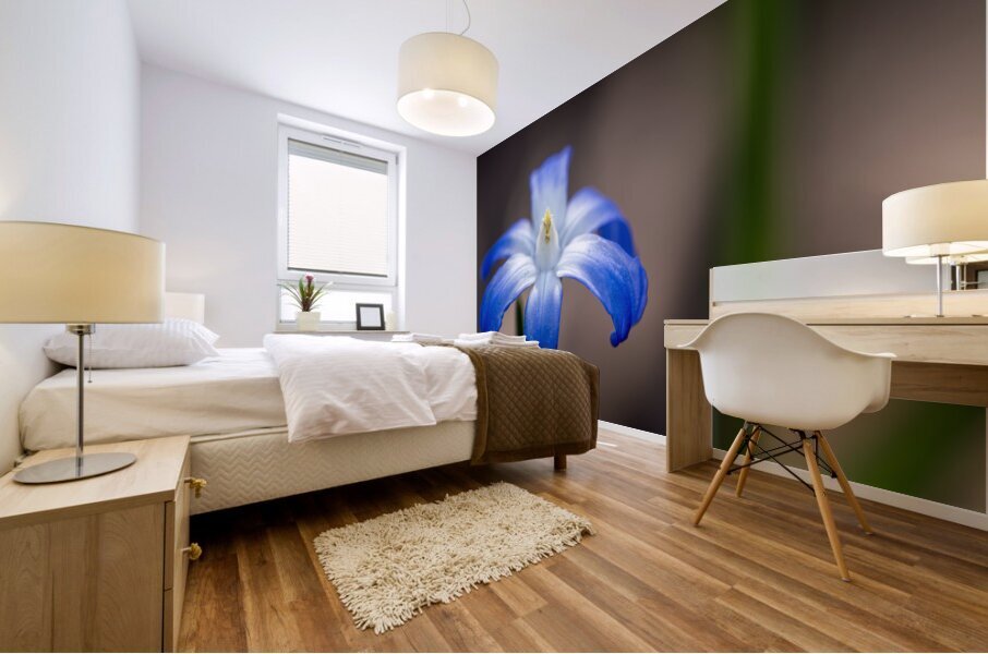 Call Me Lucile Mural print