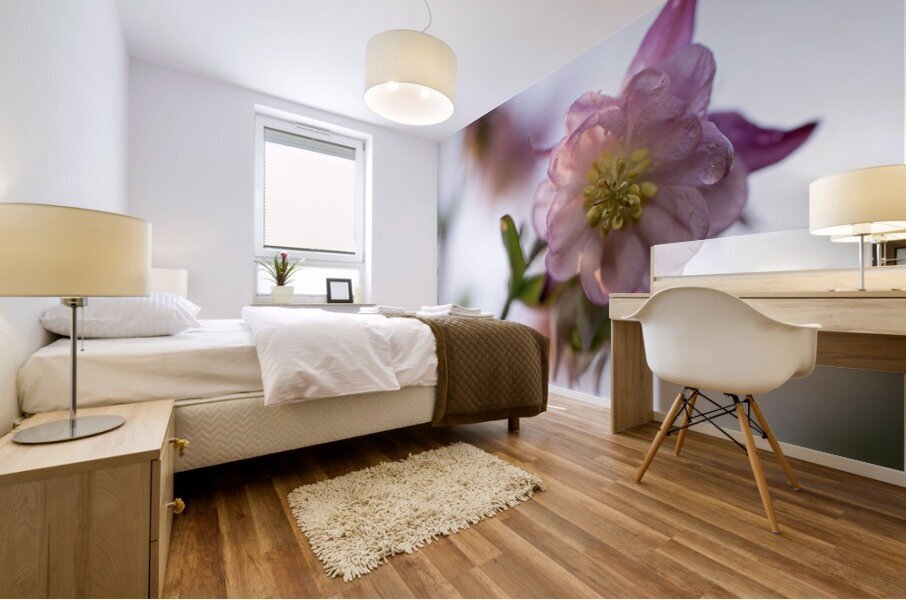 Delicacy Impression murale