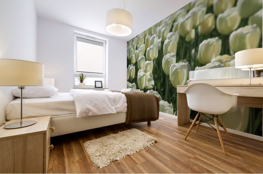 Field Of White Tulips Mural print