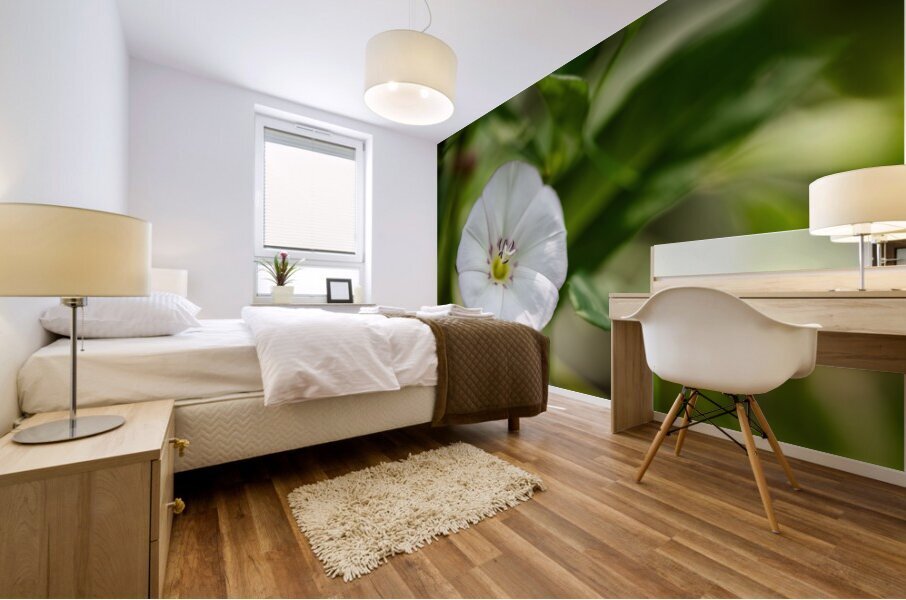 Little Glass Impression murale