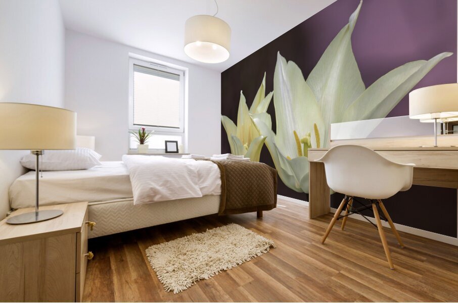 Quite a Pair Mural print