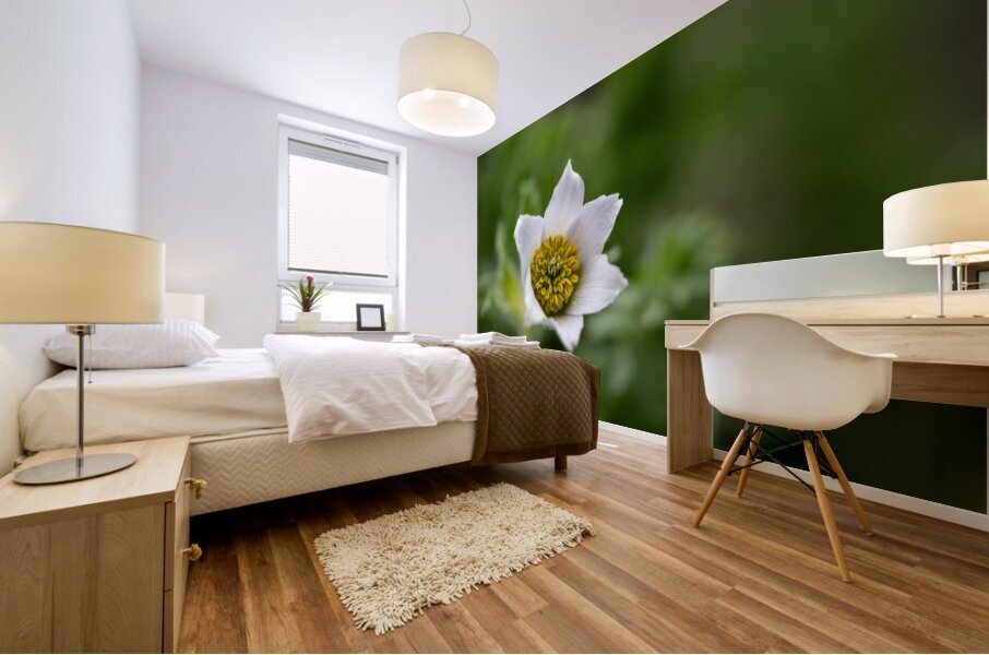 Darling 2 Impression murale