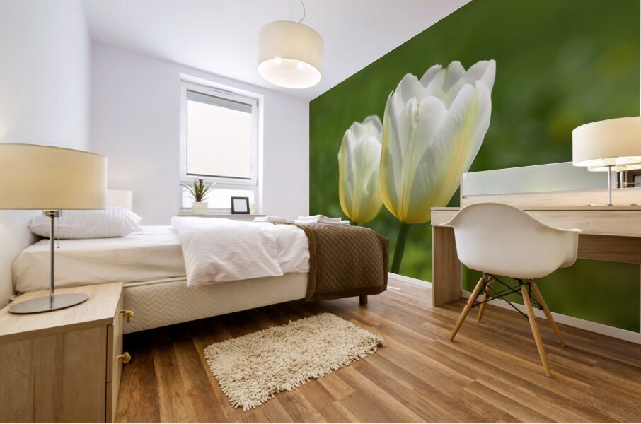 Yellow and White Impression murale