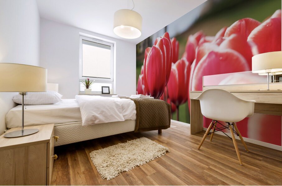 Look at Us Mural print