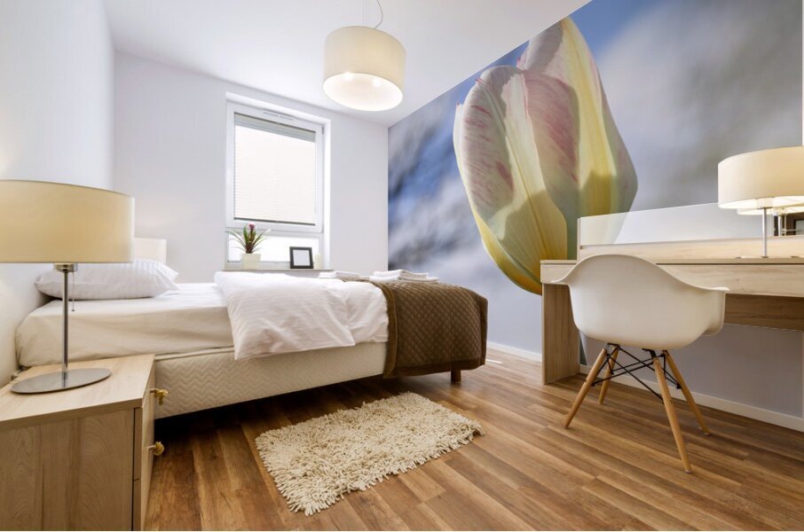 Head in the Clouds Impression murale