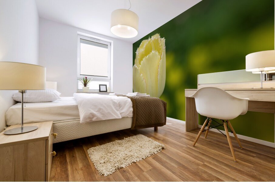 Elegant with Fringes Mural print