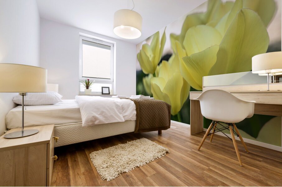 Dreamlike Mural print