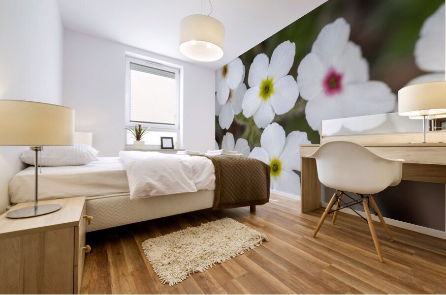 Colorful Dots Impression murale