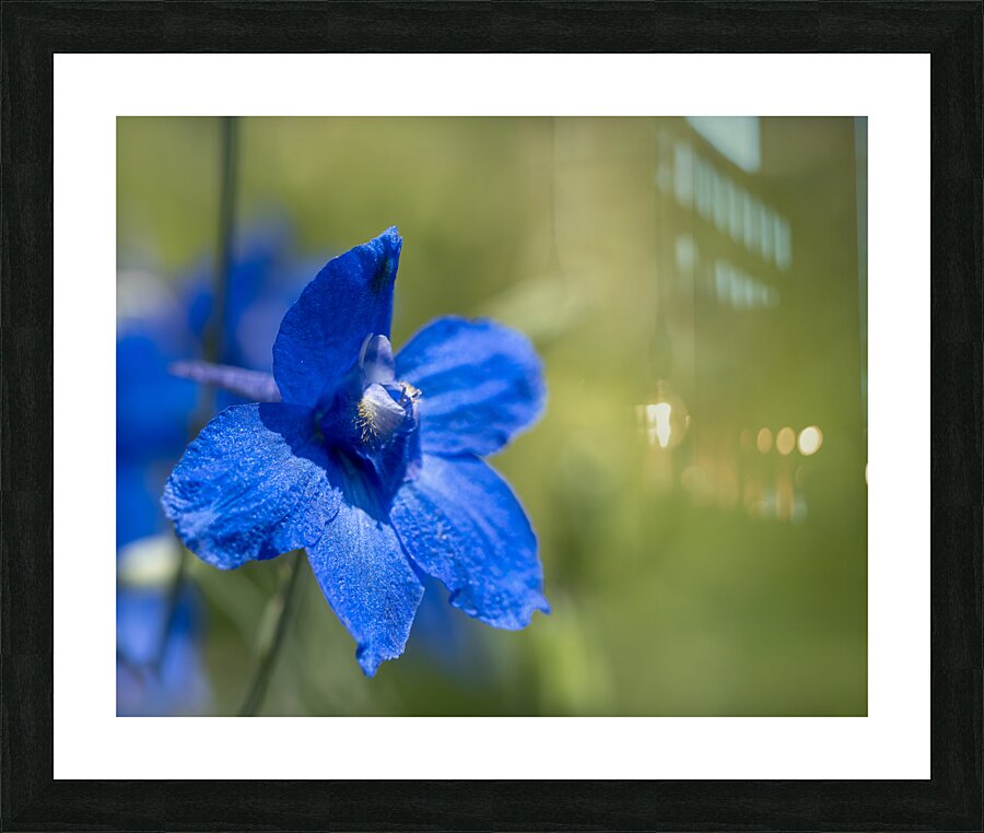 Blue Mirror Picture Frame print