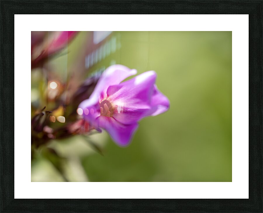 Good Day Impression et Cadre photo