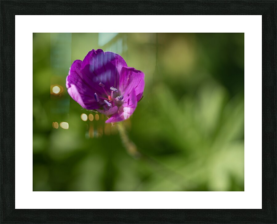 Little Beads Picture Frame print