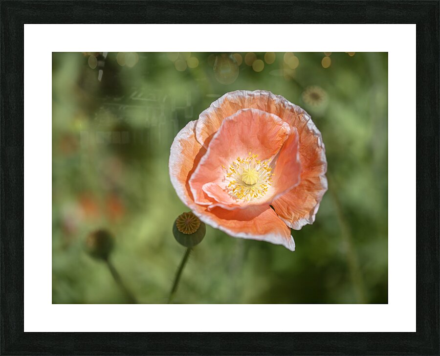 Love Me Picture Frame print