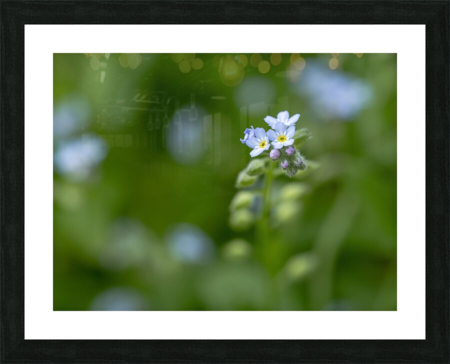 Tiny Bouquet Picture Frame print