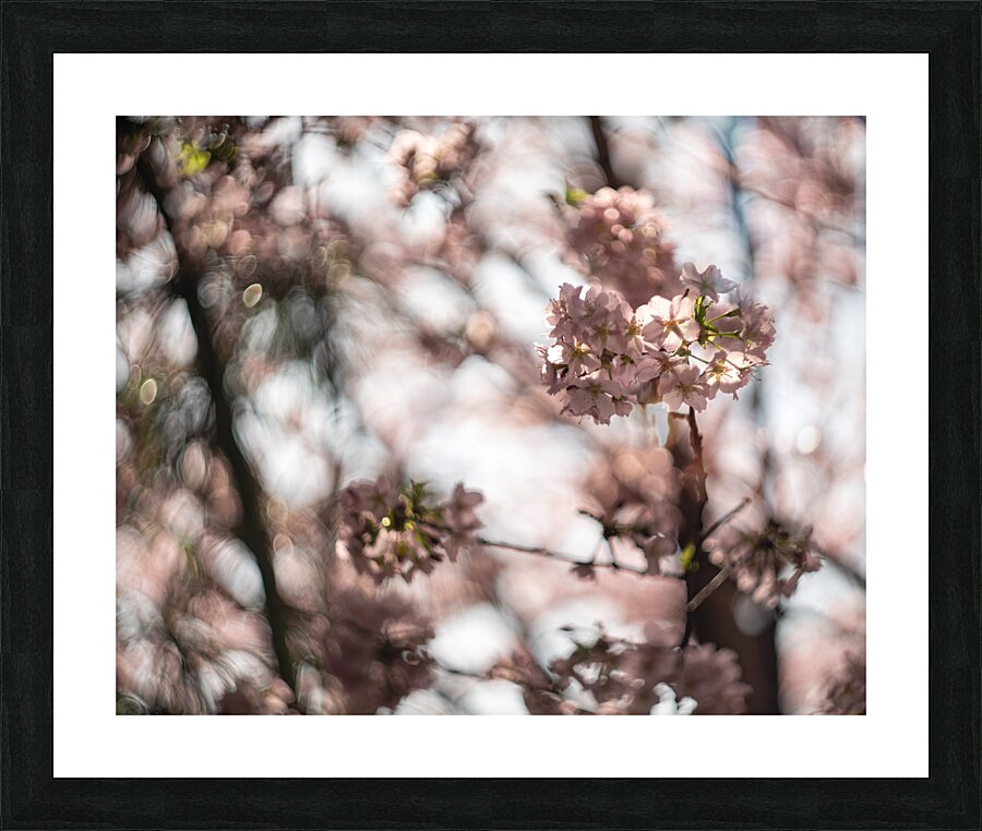 Sunny Serenity Impression et Cadre photo