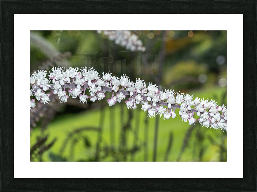 Fairy Candle Picture Frame print