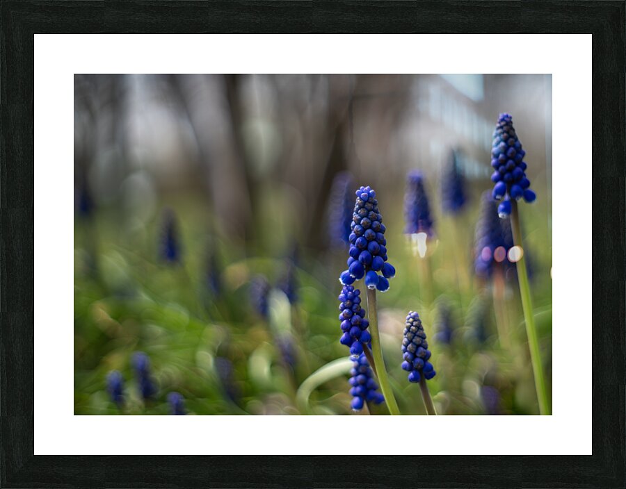 Paradise Perfection Picture Frame print