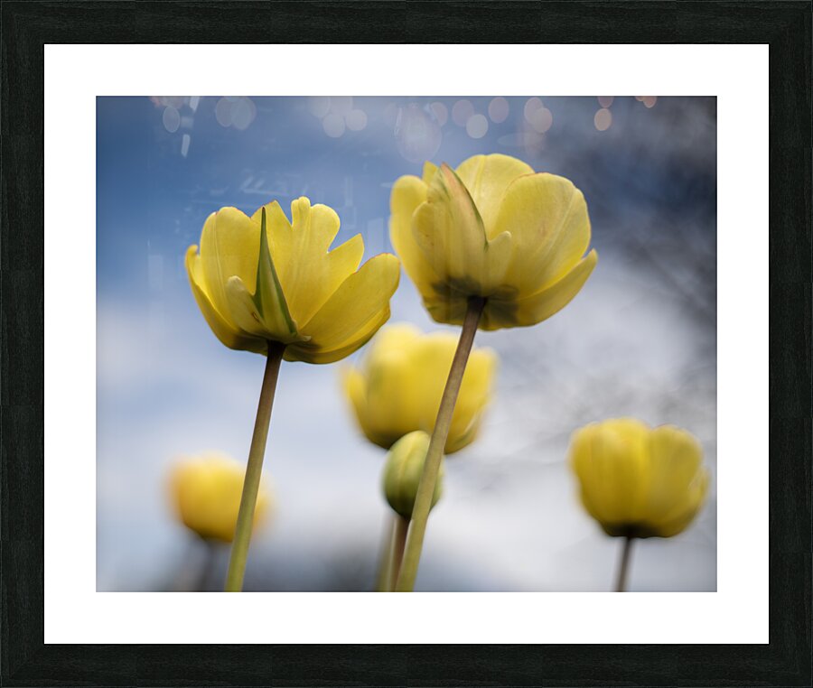 Yellow Cascade Picture Frame print