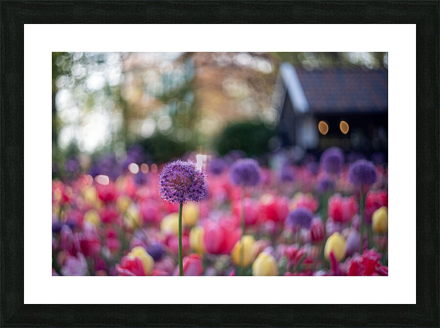  SBP5487 Impression et Cadre photo