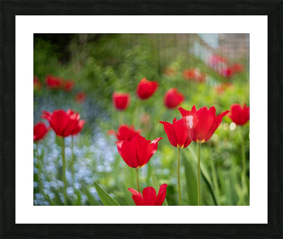  SBP4390 Picture Frame print