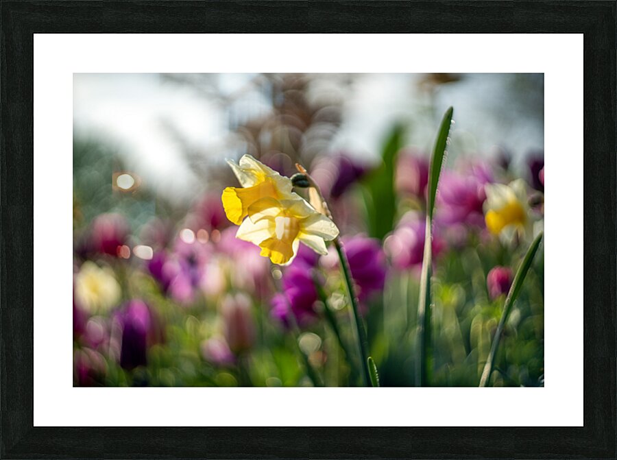  SBP5470 Picture Frame print