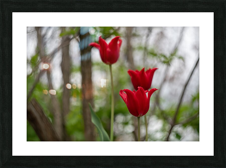 SBP8333 Picture Frame print