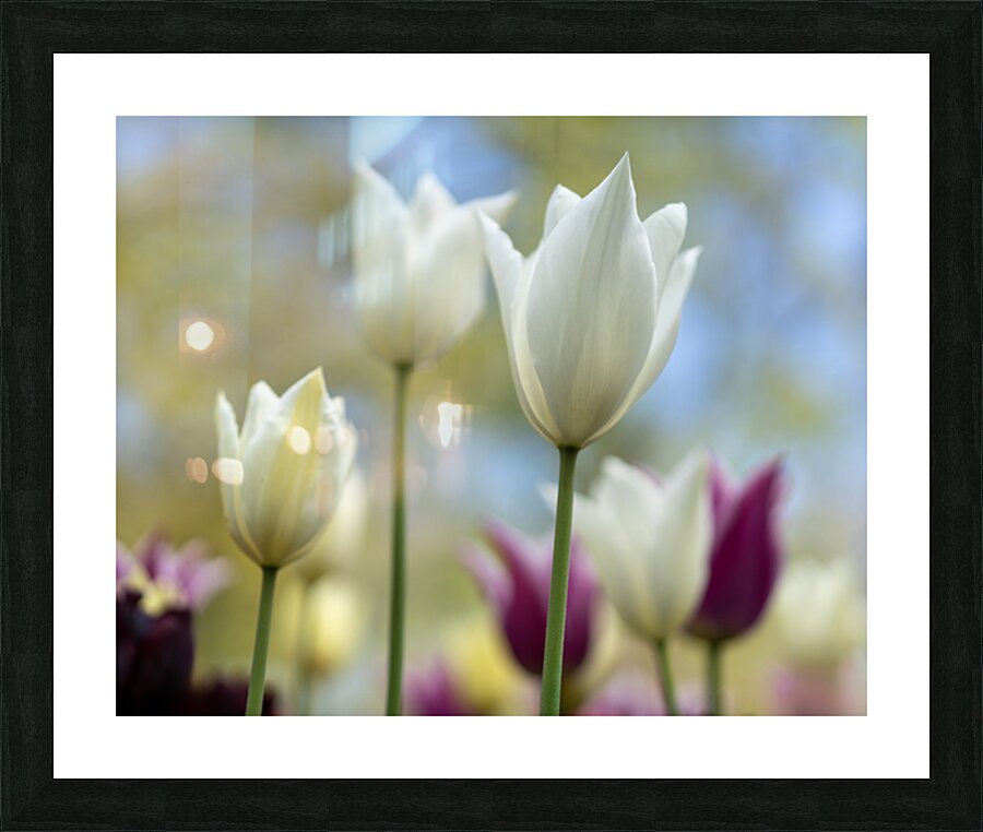 SBP6391 Picture Frame print